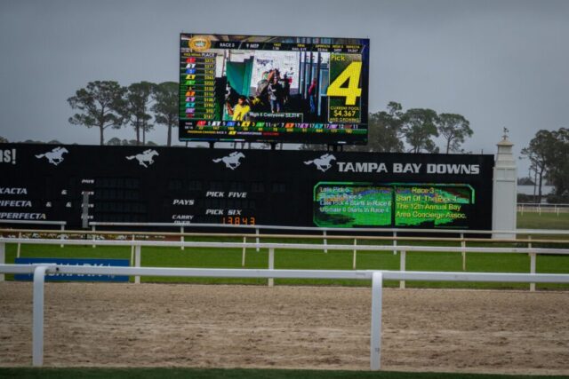 Kyle Fleming Photography_BACA_TB-Downs26_015