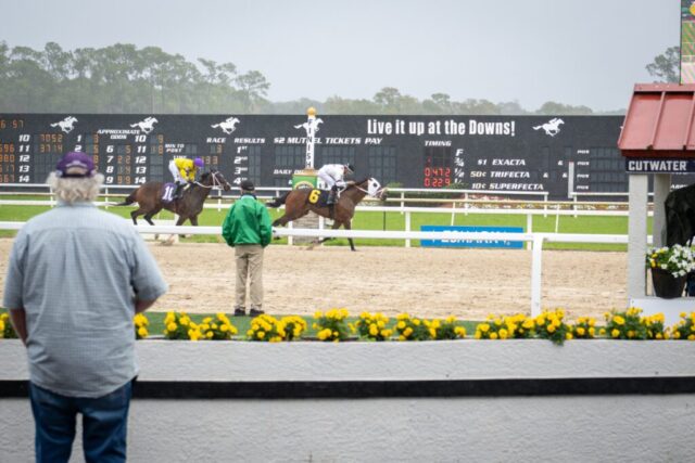 Kyle Fleming Photography_BACA_TB-Downs26_022